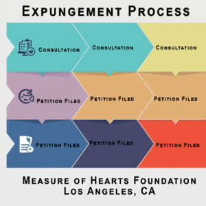 Expungement Process